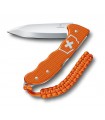 Hunter Pro Alox Limited Edition 2021 VICTORINOX